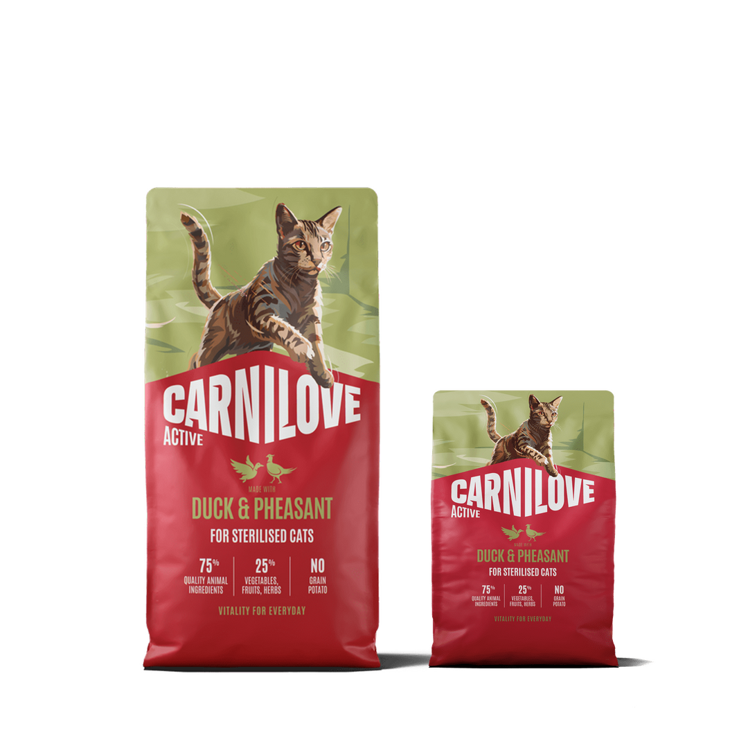 Active Dry Duck & Pheasant XXL for sterilised cats pack
