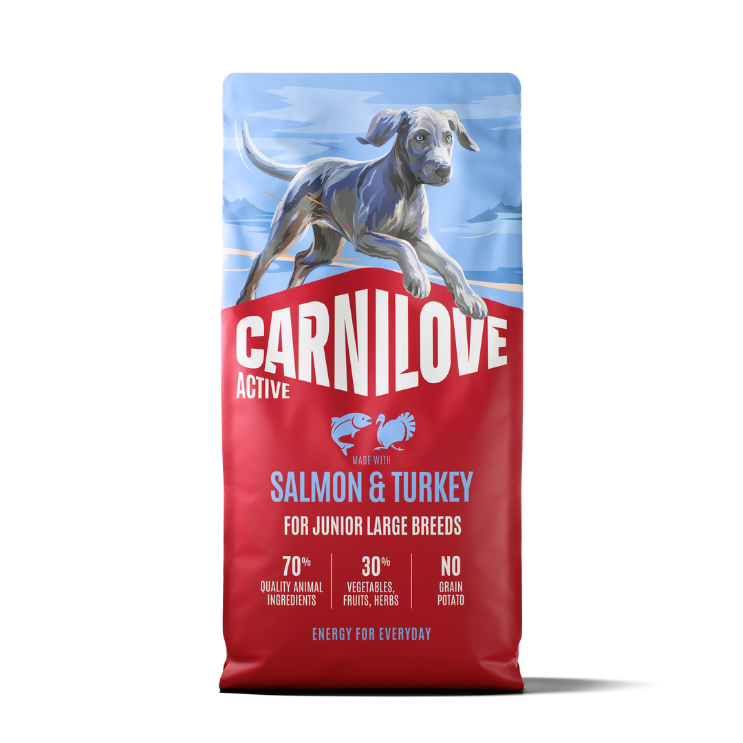 ACTIVE Dry Food Made with Salmon & Turkey for Junior Dogs