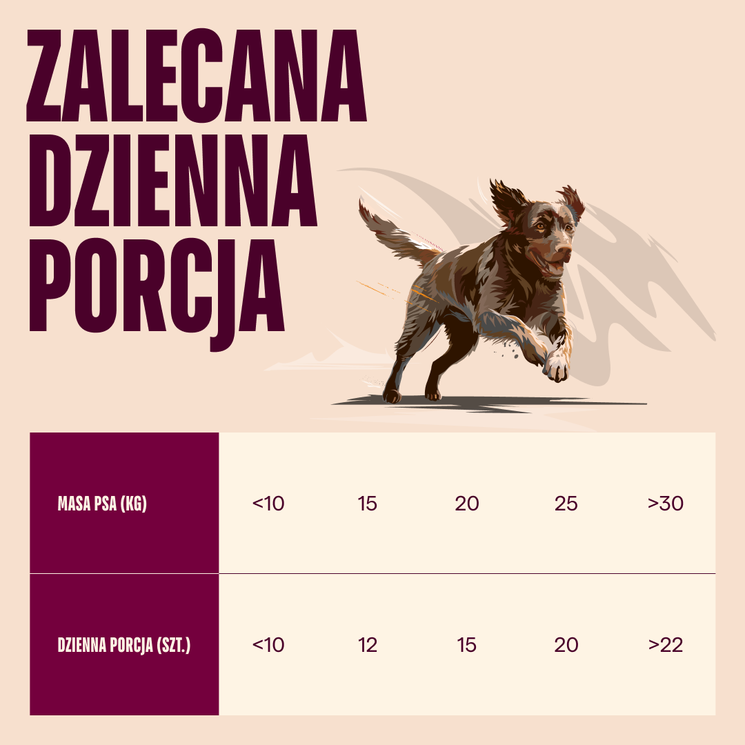 wild boar/103100797 4 EN