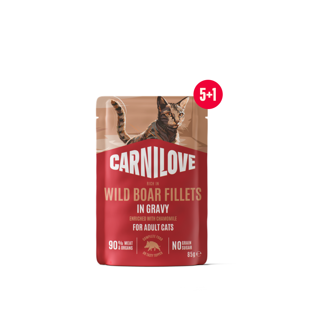 Gravy pouch Wild Boar with Chamomile for cats 5+1 pack