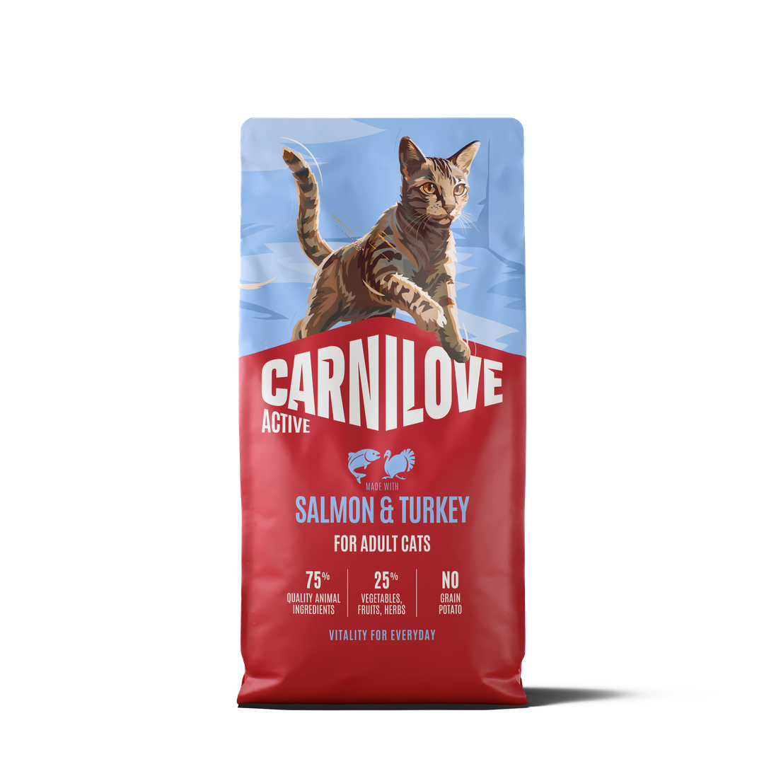 ACTIVE Dry Food Made with Salmon & Turkey for Adult Cats