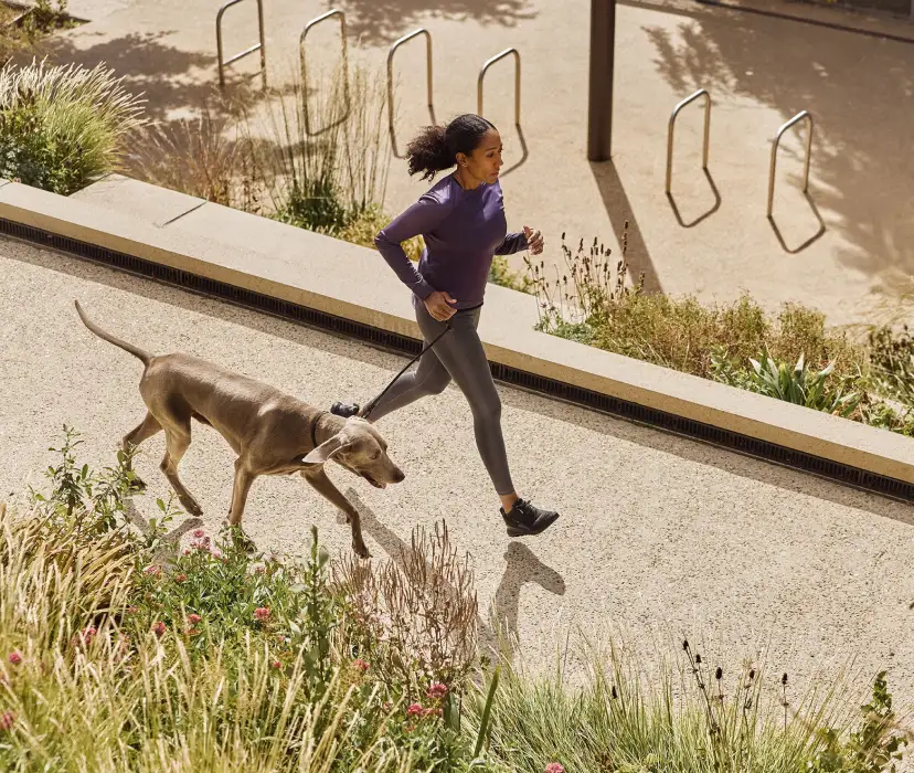 Active lifestyle scene of a woman running with her dog along a sunlit urban path, surrounded by greenery.
