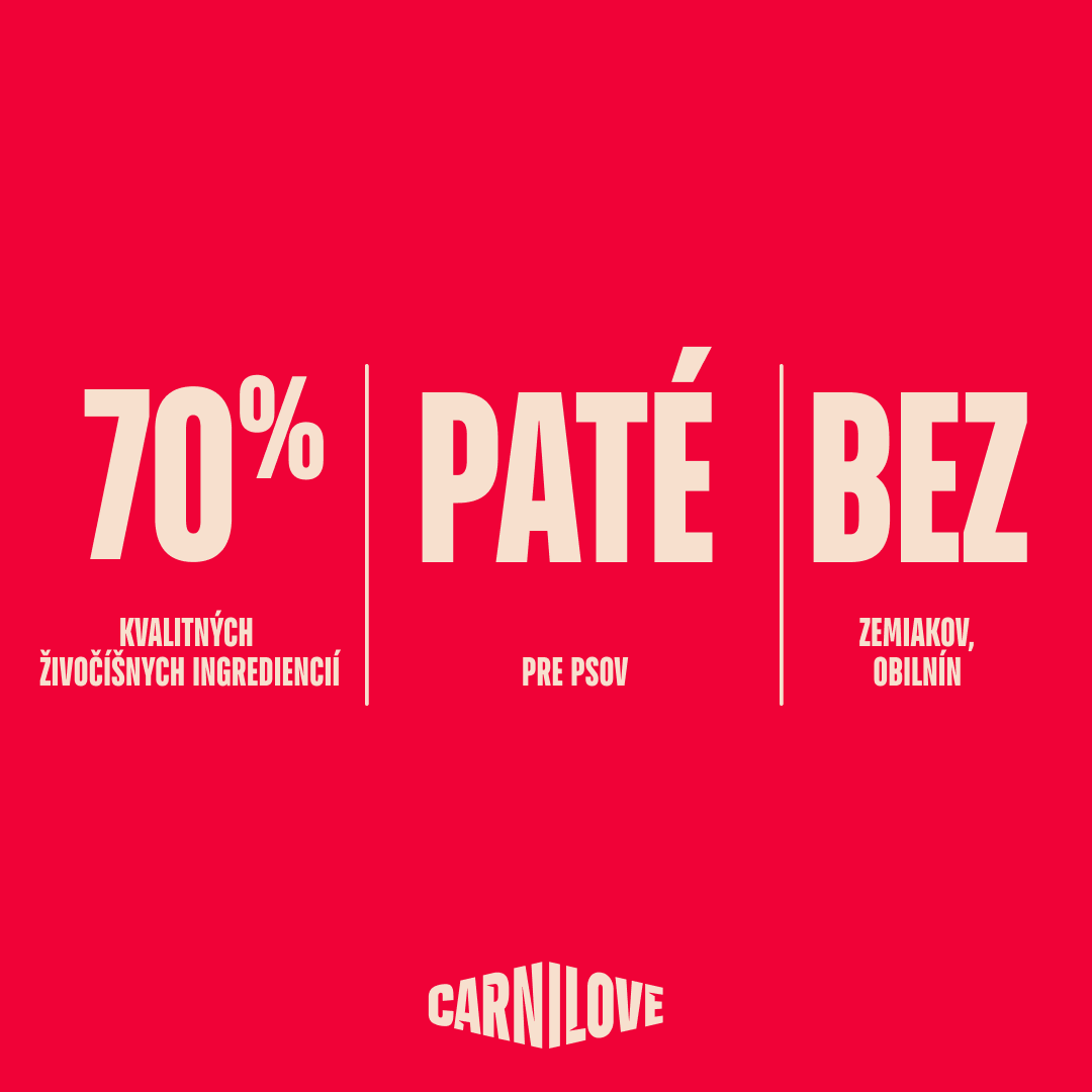 Multipack Dog POUCH Paté 4 x 300 g