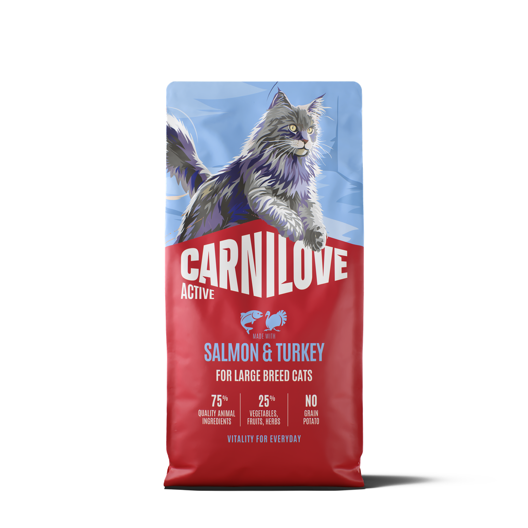 ACTIVE Dry Food Made with Salmon & Turkey for Large Cats