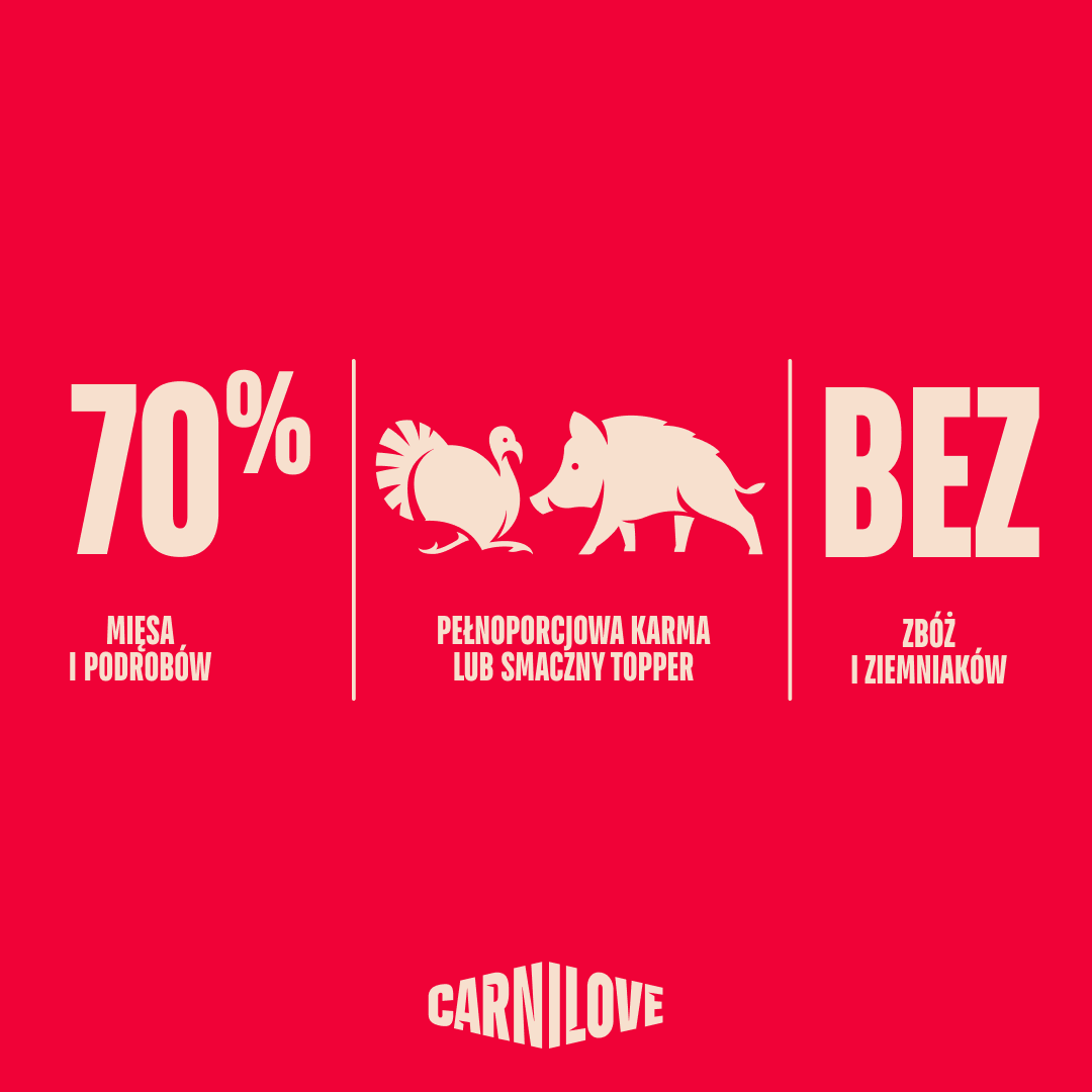 Turkey & Wildboar with Rosehips Dog POUCH Paté, karma z indykiem i dzikiem dla dorosłych psów 300g