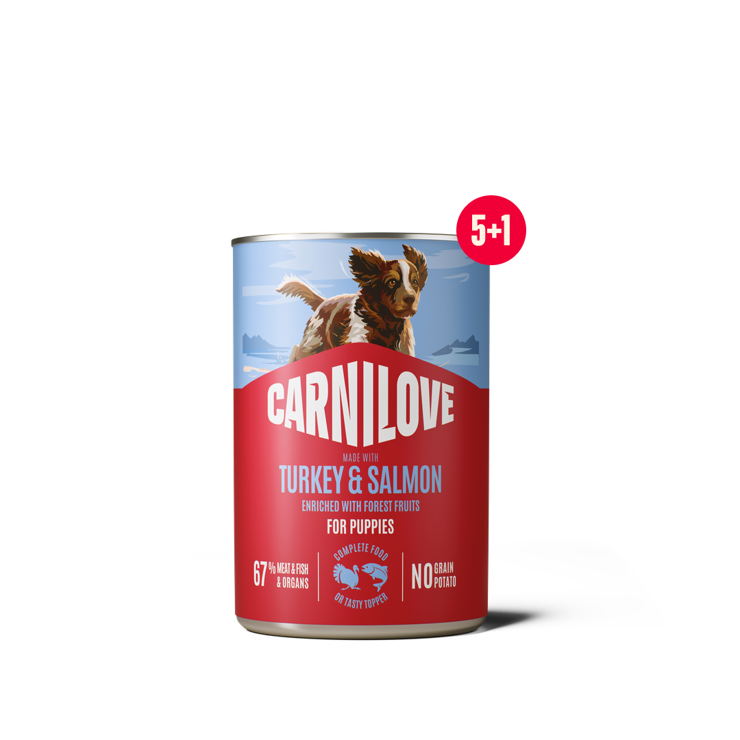 Paté CAN Food Turkey & Salmon for puppies 5+1 pack