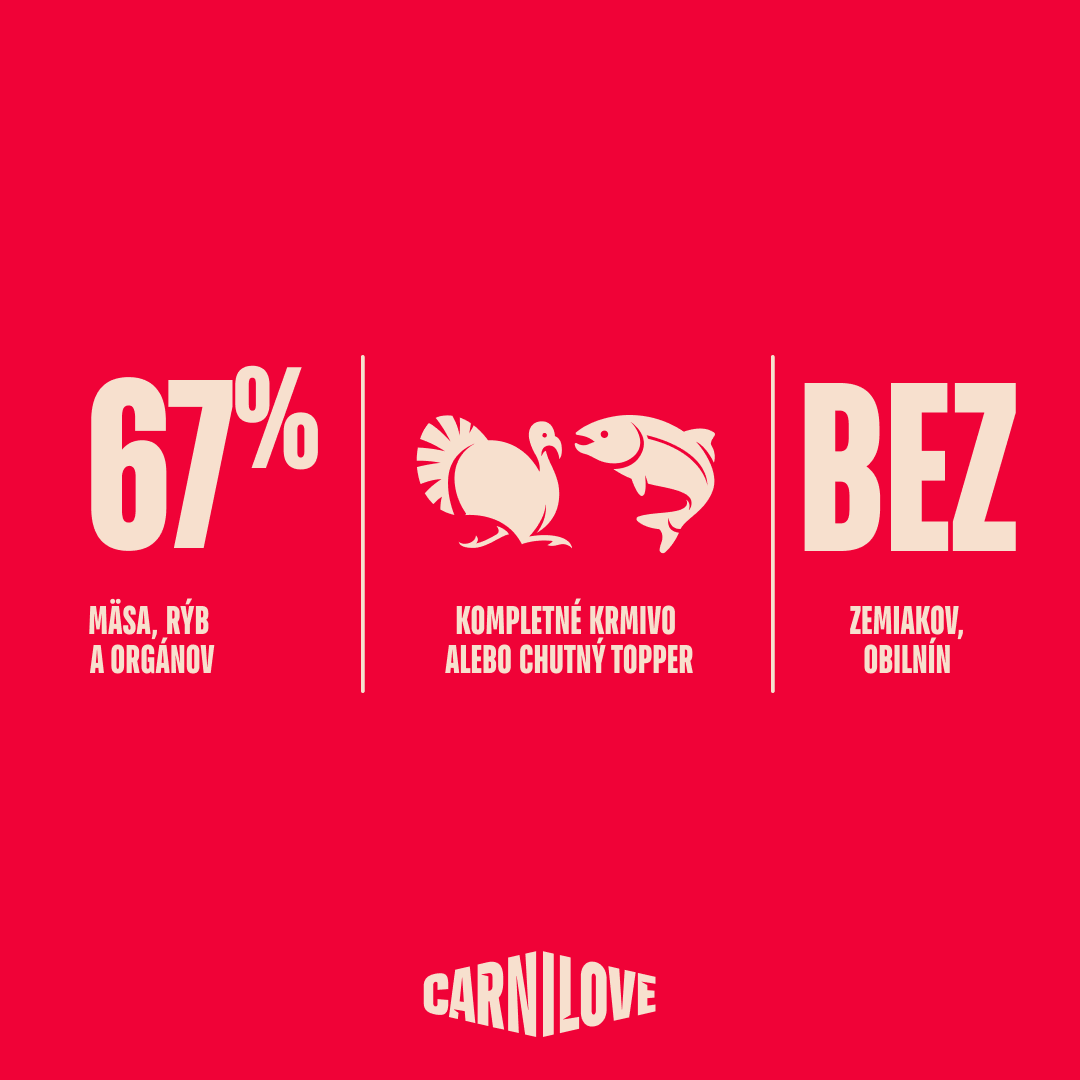 Paté CAN Food Made with Turkey & Salmon for Dogs 400 g