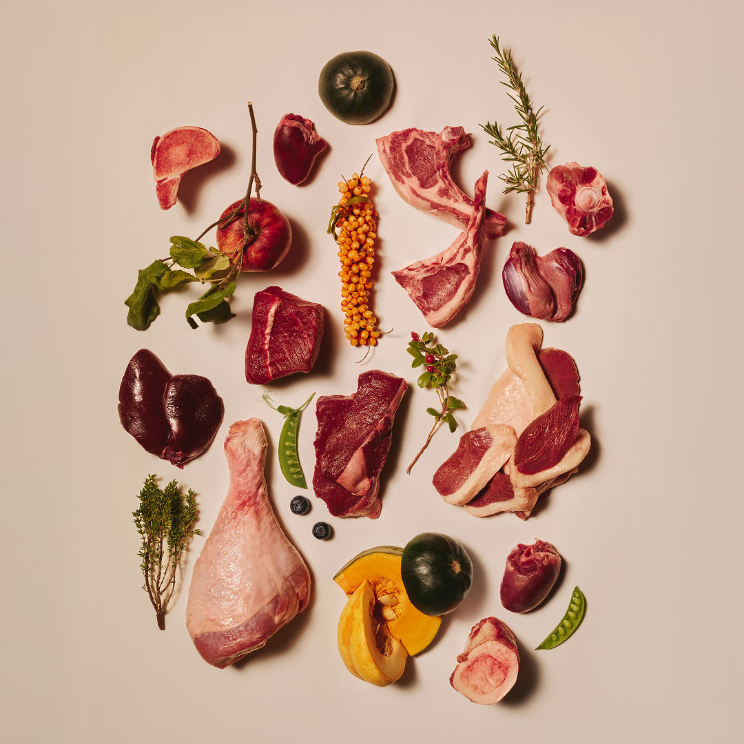 ostrich/103100796 3 EN