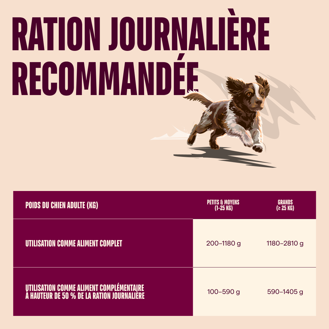 104101384 5 FR