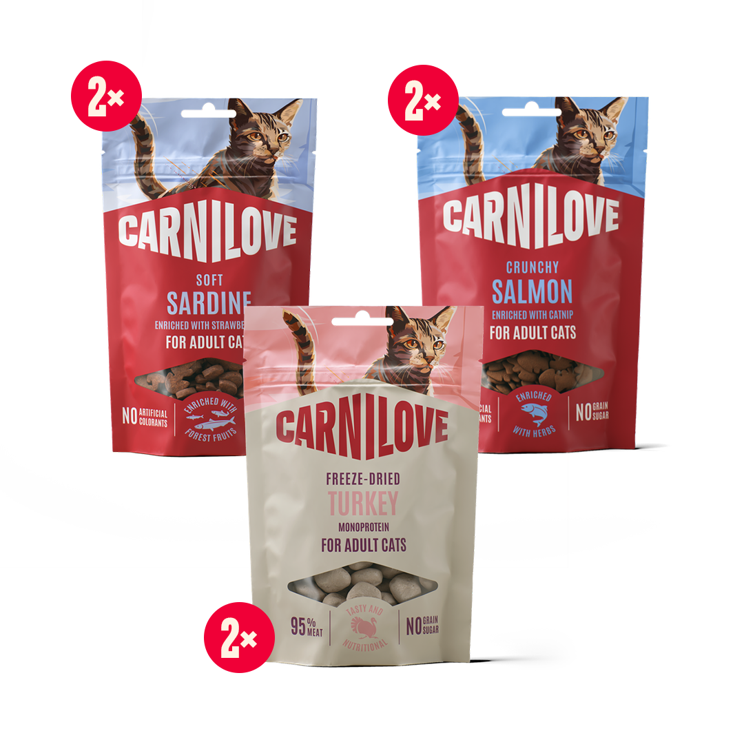 Snack pack Cat