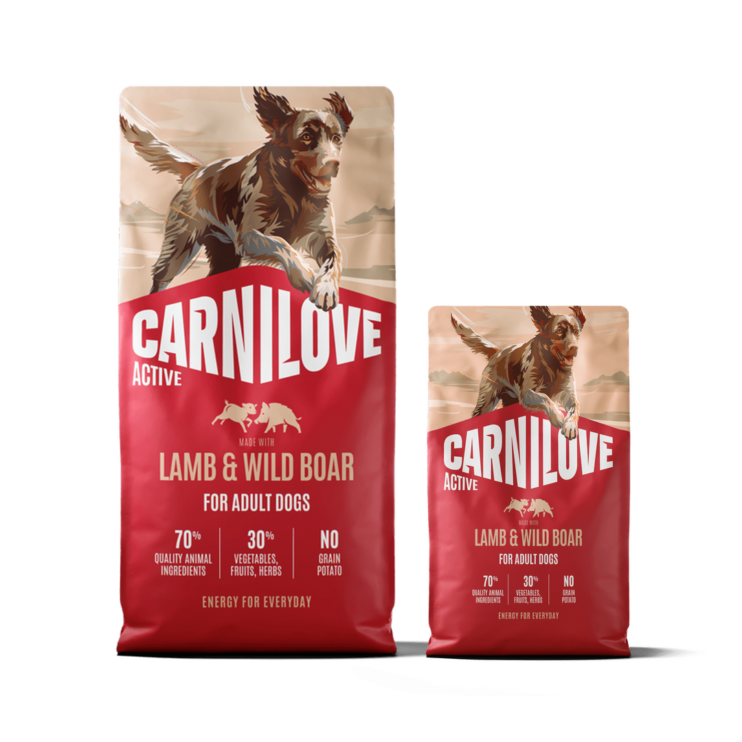 Active Dry Dog Food Made with Lamb & Wild Boar Pack, Pakiet dla Dorosłych Psów