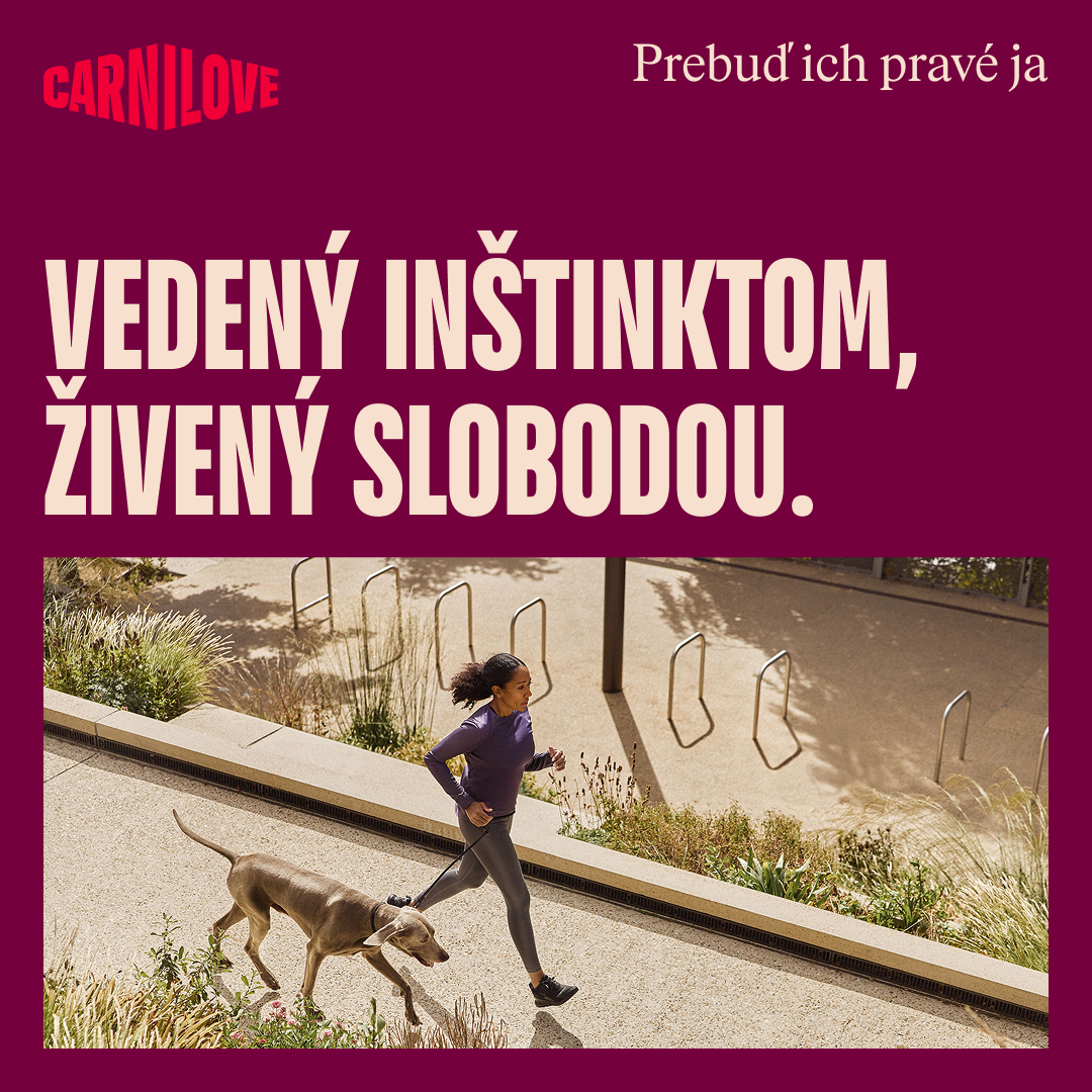 100173687 8 SK
