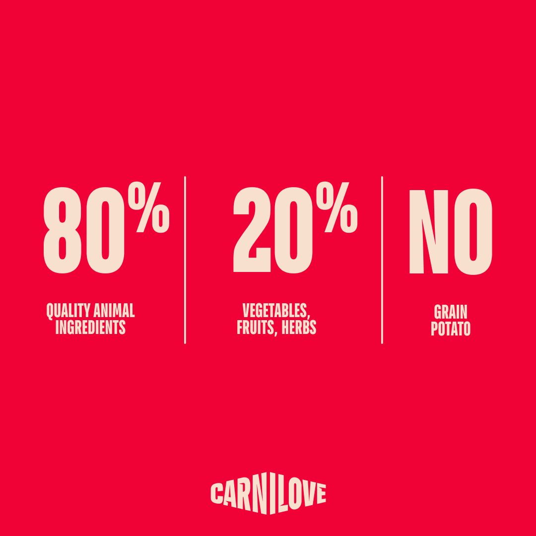 ACTIVE Kitten Starter Pack