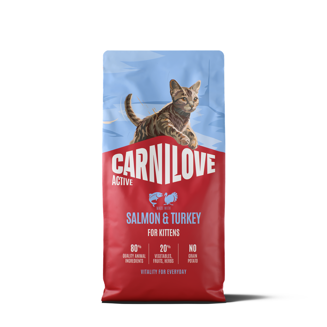 ACTIVE Dry Food Made with Salmon & Turkey for Kittens