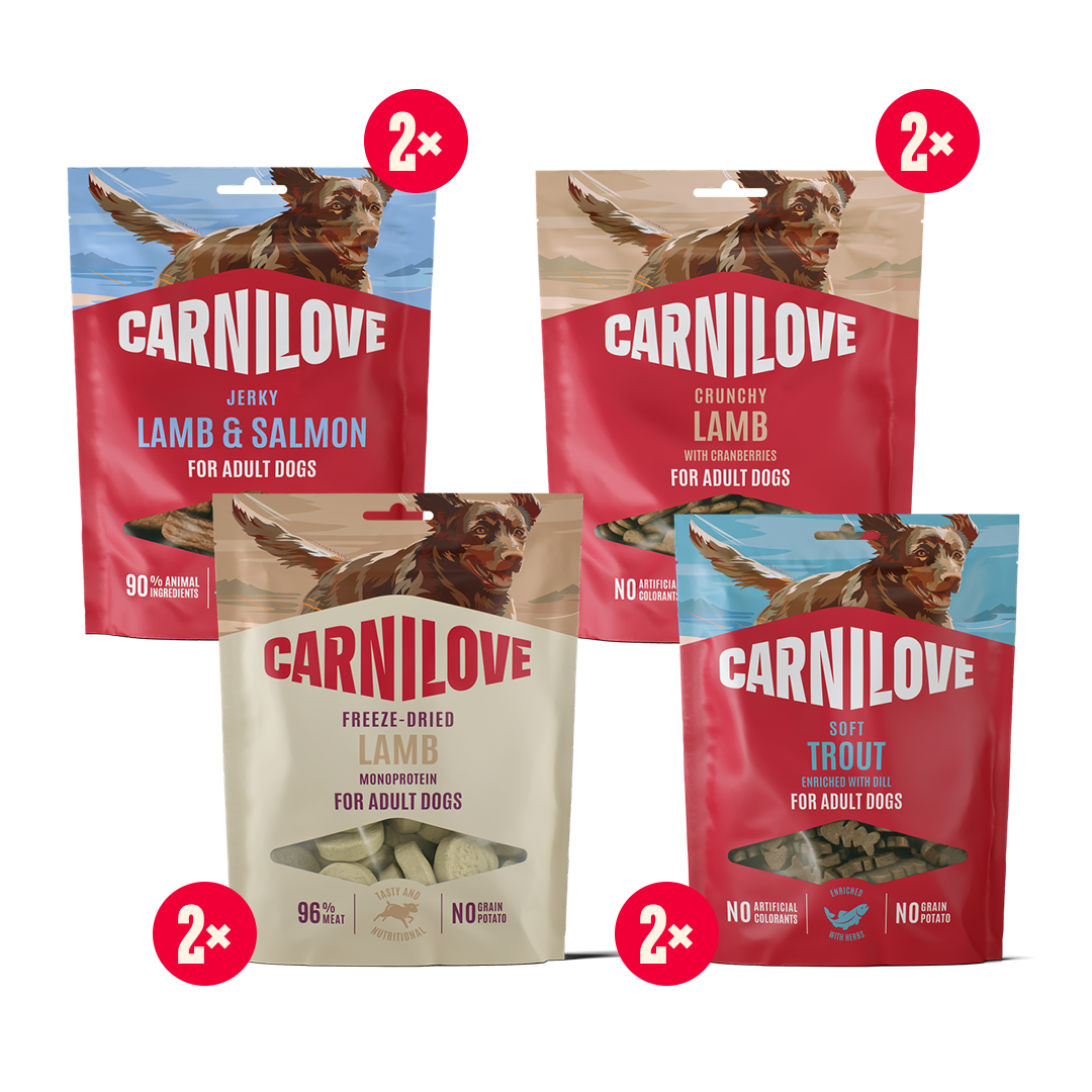 Snack pack dog