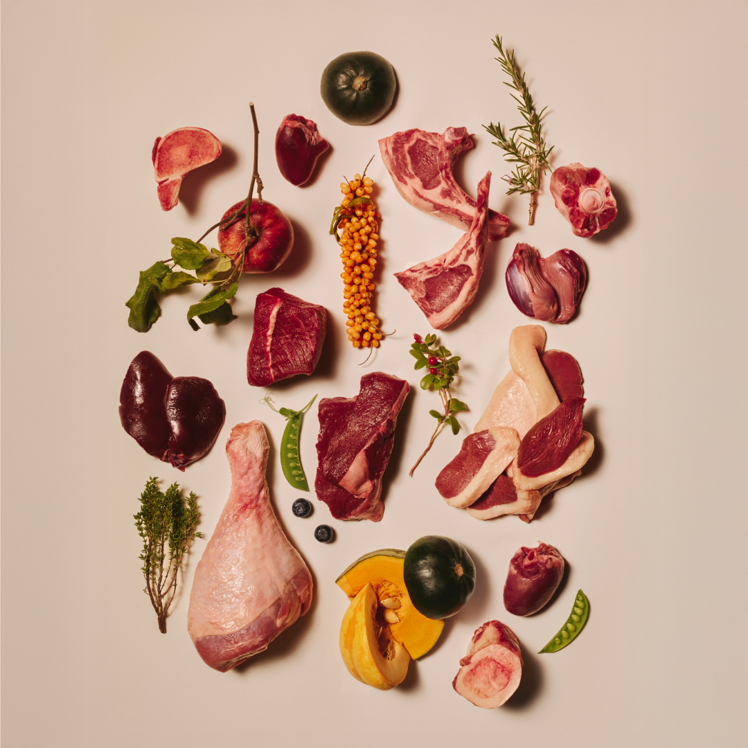 wild boar/103100797 3 EN