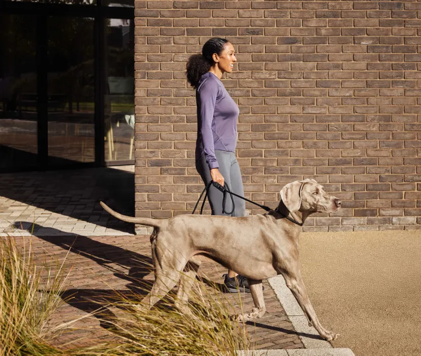 Casual outdoor moment of a woman walking her dog past a modern building, highlighting a relaxed daily routine.