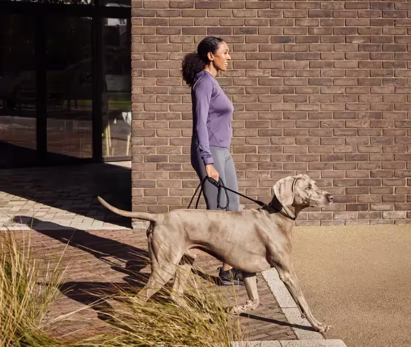 Casual outdoor moment of a woman walking her dog past a modern building, highlighting a relaxed daily routine.