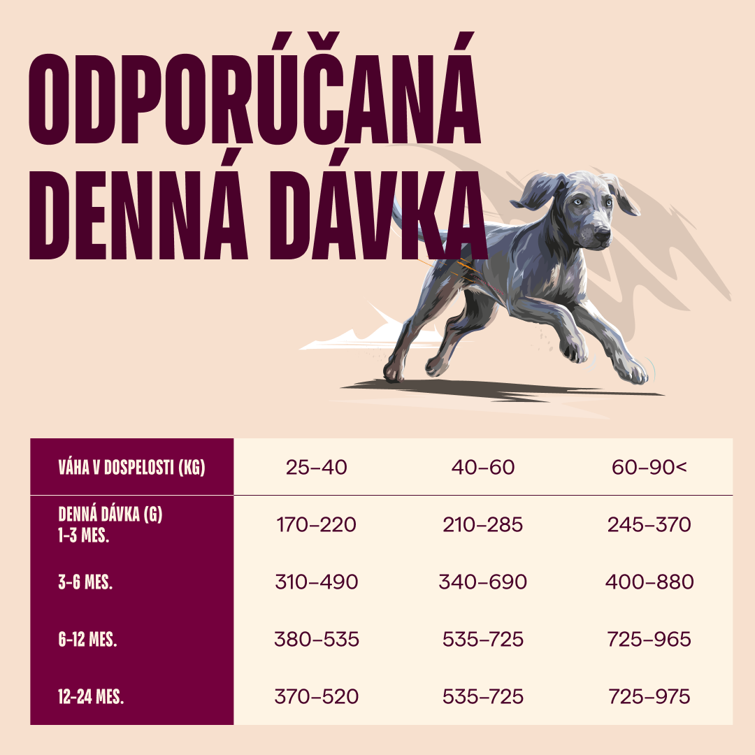 100173702 4 SK
