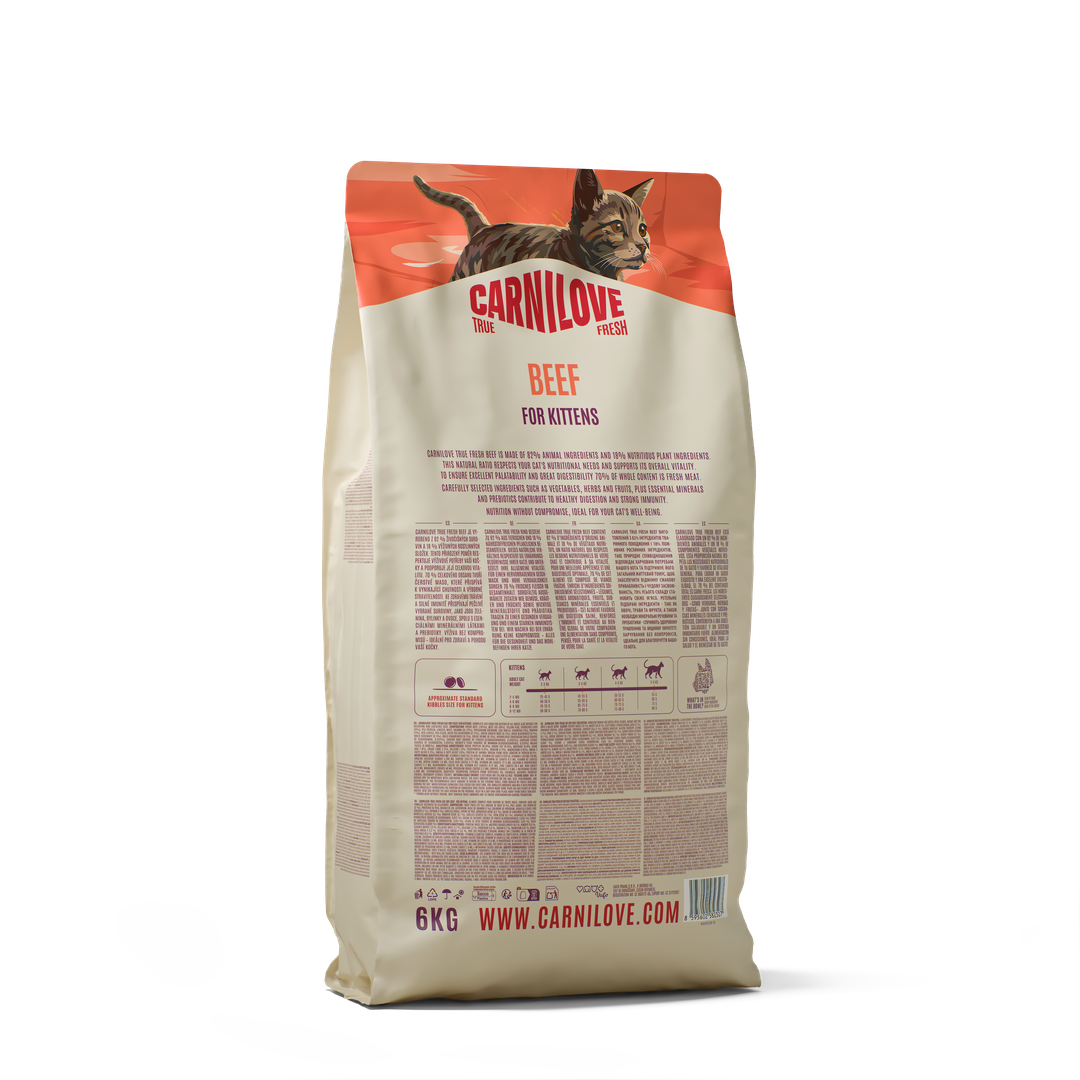 TRUE FRESH Beef Dry food for Kittens