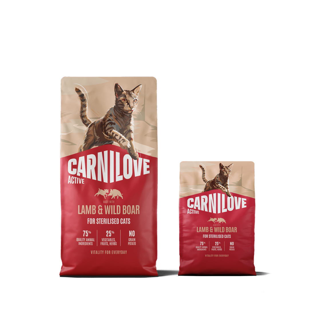 Active Dry Lamb & Boar XXL for sterilised cats pack