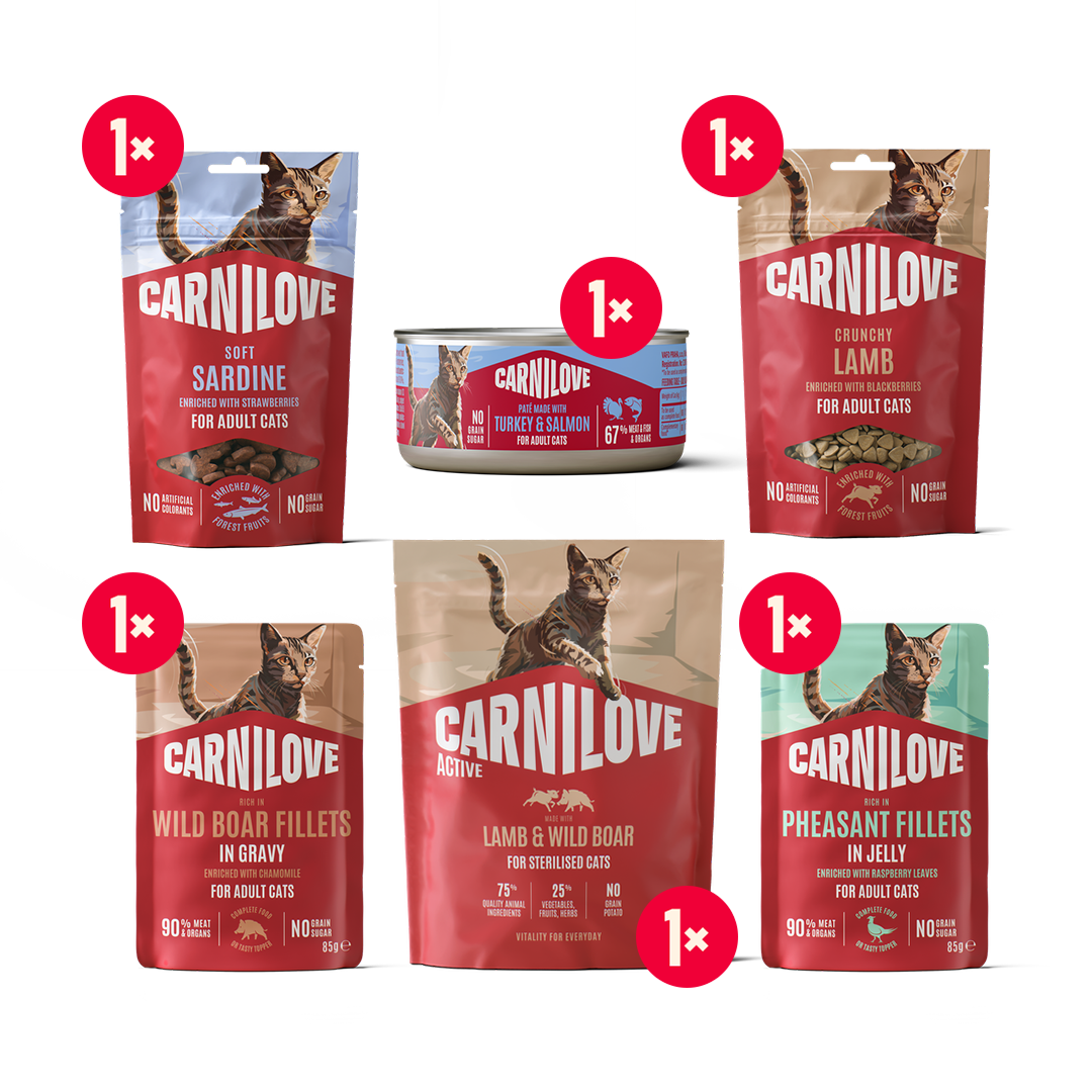 ACTIVE Adult Cat starter pack