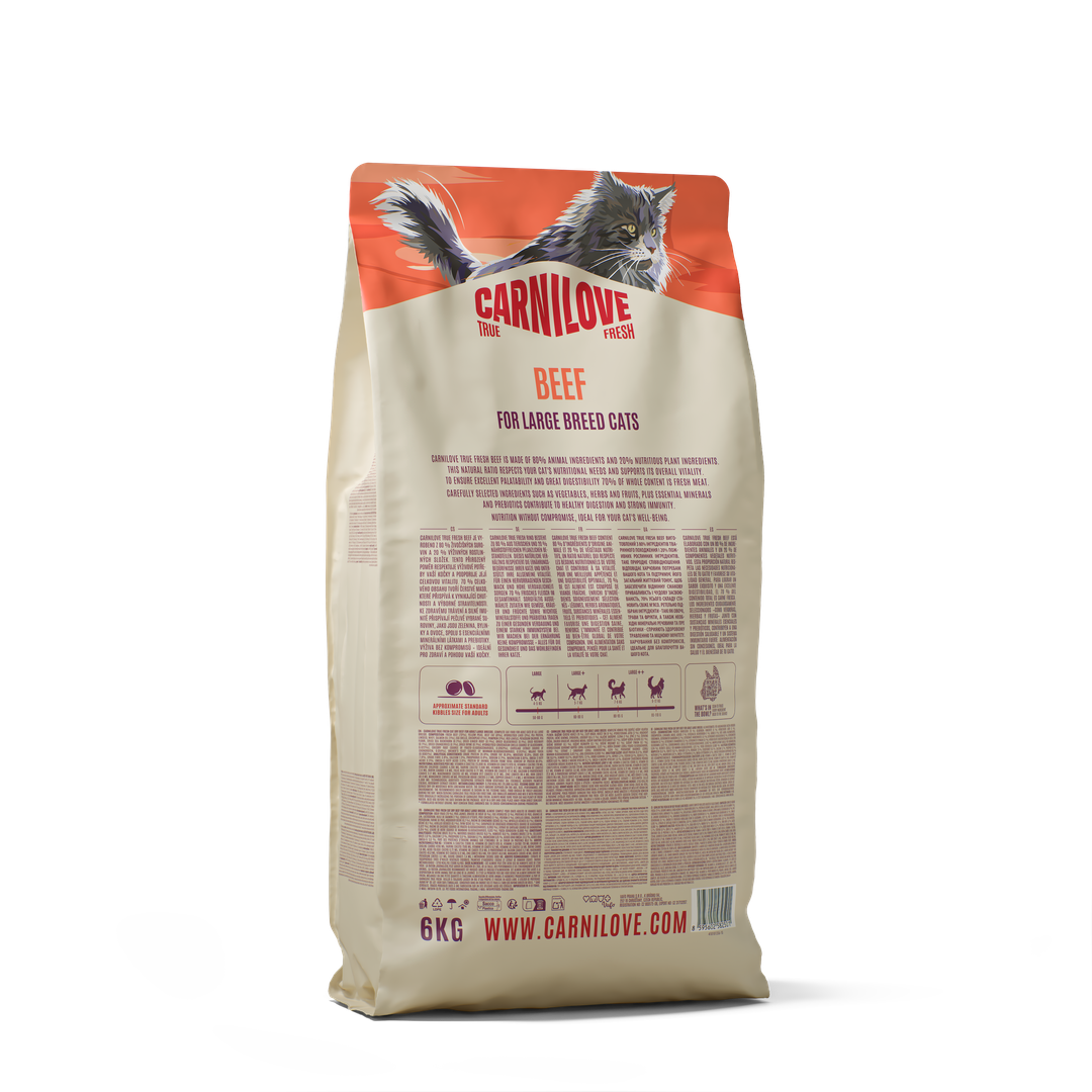 TRUE FRESH Beef Dry food for Adult Cats