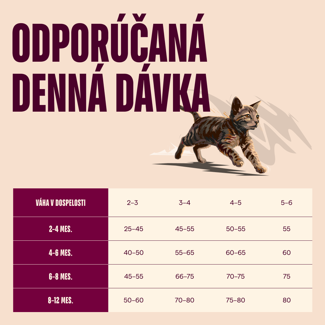 100173708 4 SK