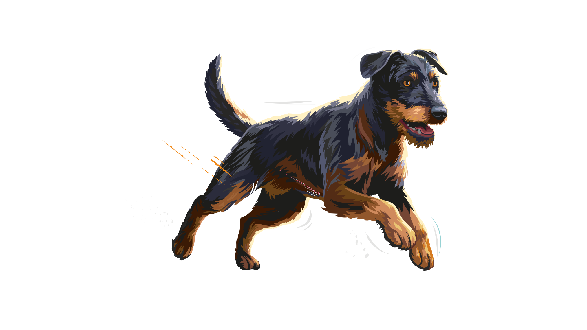 Carnilove-Illustration-Dog-Small-Adult