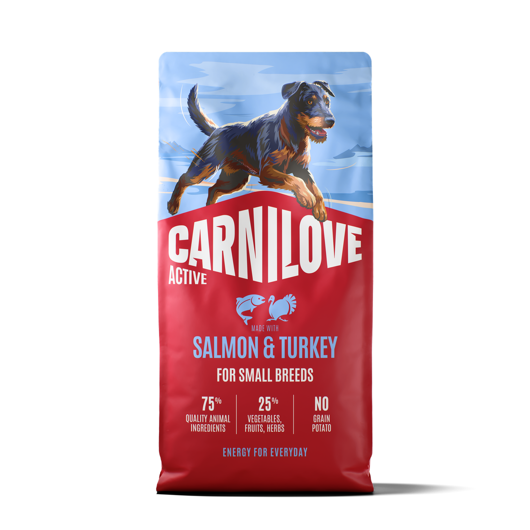ACTIVE Dry Food Made with Salmon & Turkey for Small Dogs