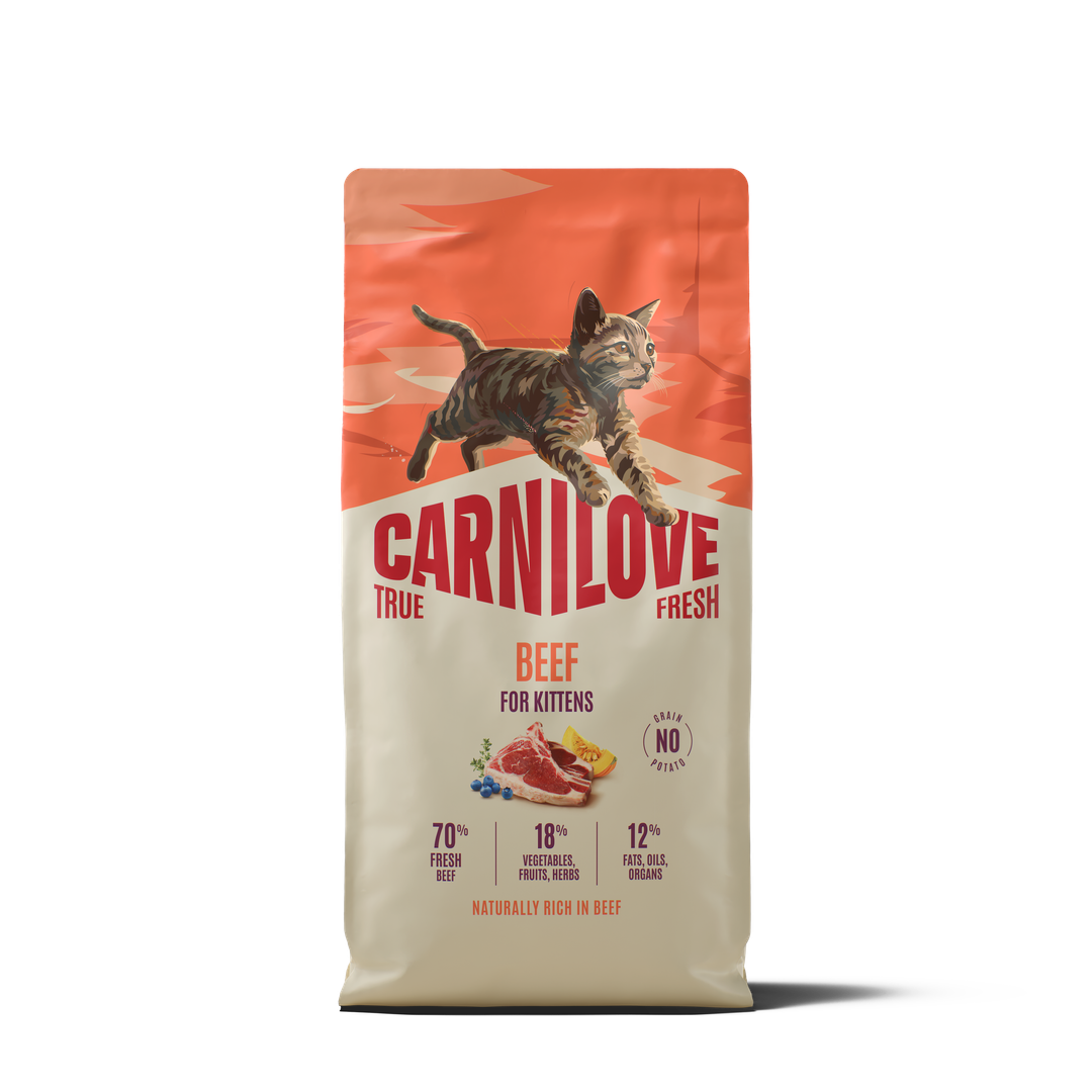 TRUE FRESH Beef Dry food for Kittens