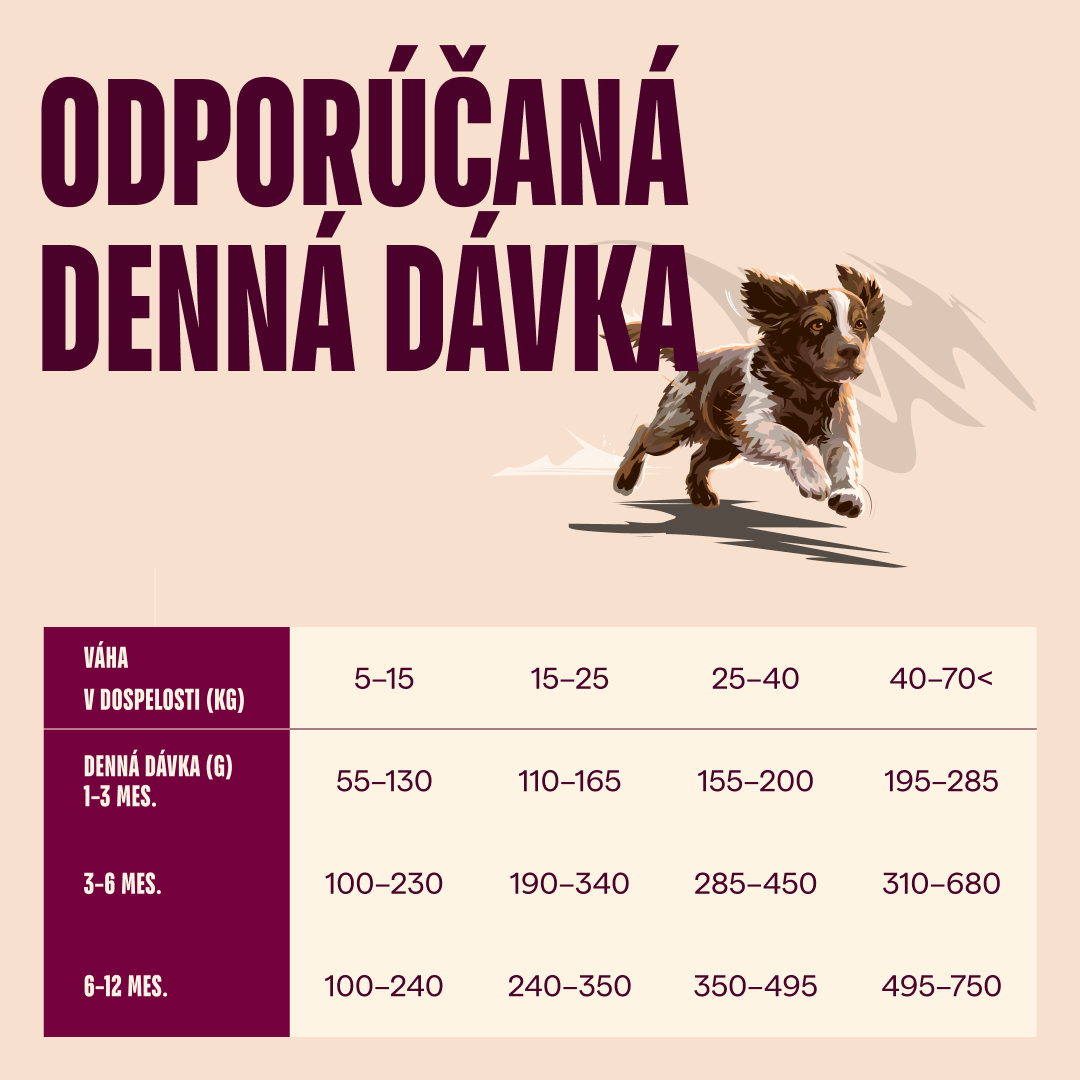 100173744 4 SK