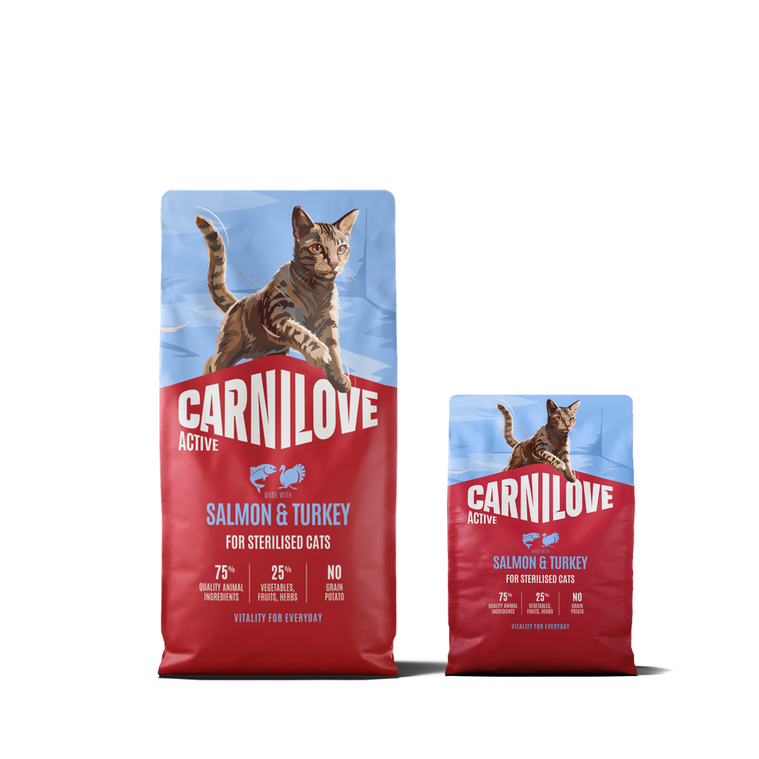 Active Dry Salmon & Turkey XXL for sterilised cats bundle