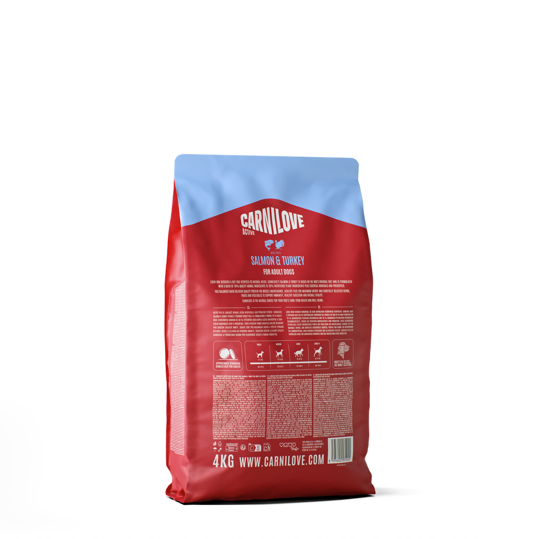 ACTIVE Dry Food Made with Salmon & Turkey for Adult Dogs