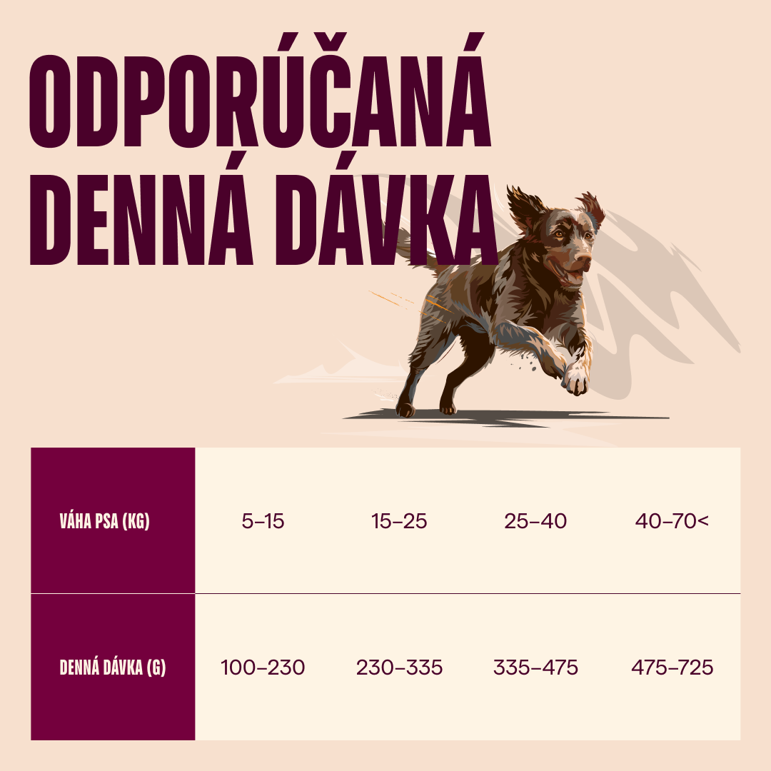 100173729 4 SK