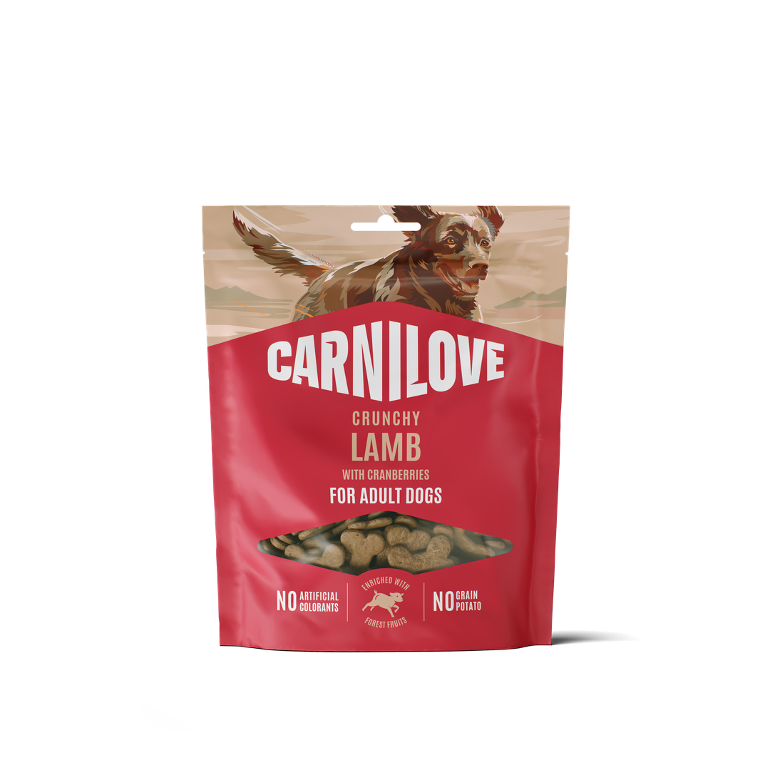 Lamb with Cranberries CRUNCHY Snack for Dogs 200g