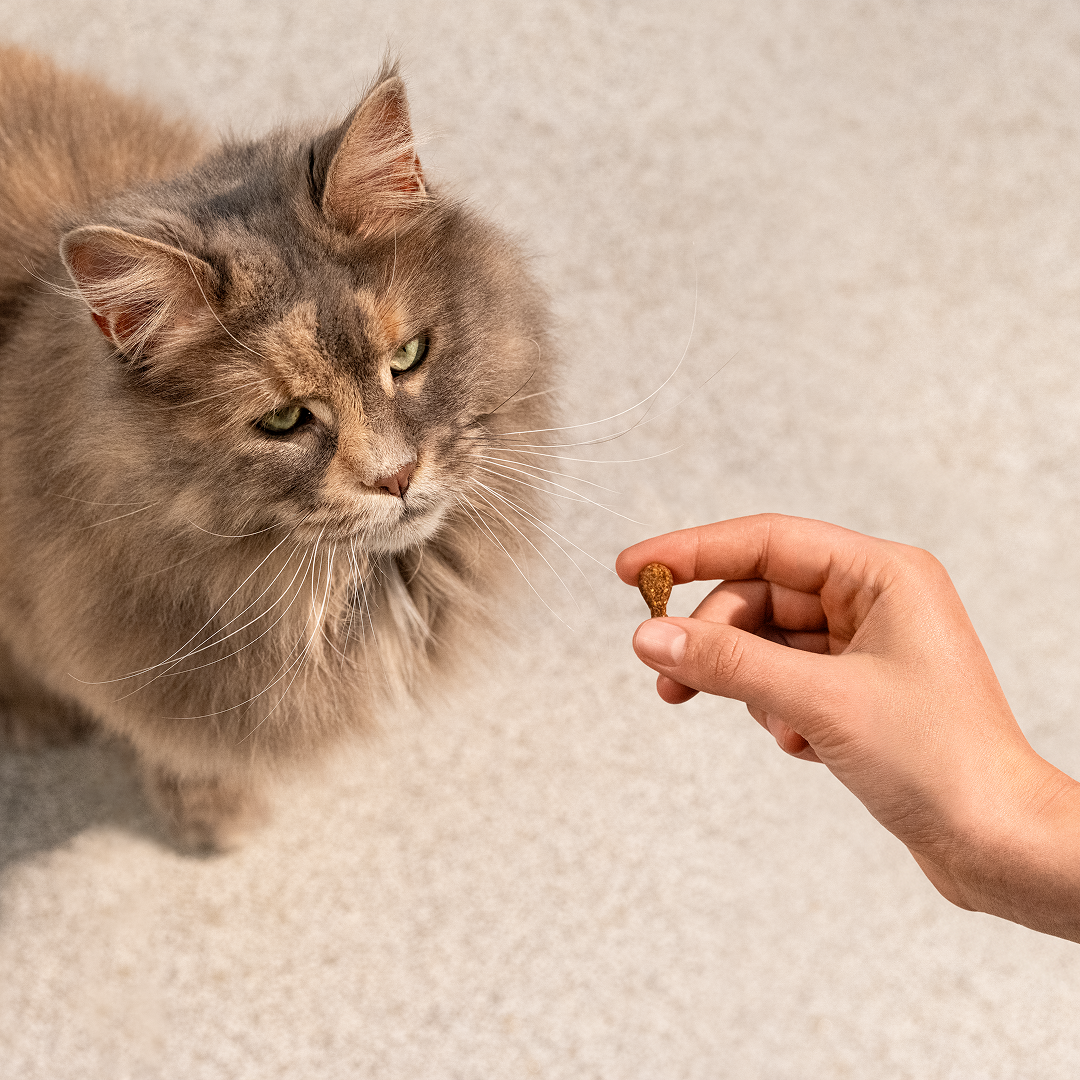 turkey/50g/101112413 8 EN