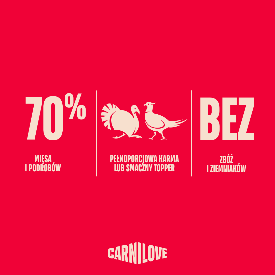 Turkey & Pheasant with Raspberry Leaves Dog POUCH Paté, karma z indykiem i bażantem dla dorosłych psów 300g