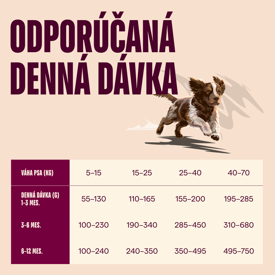 100173699 4 SK
