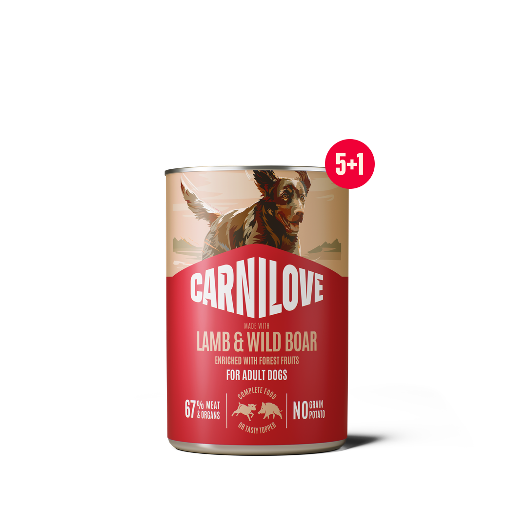 Paté CAN Food Lamb & Wild for dogs 5+1 pack