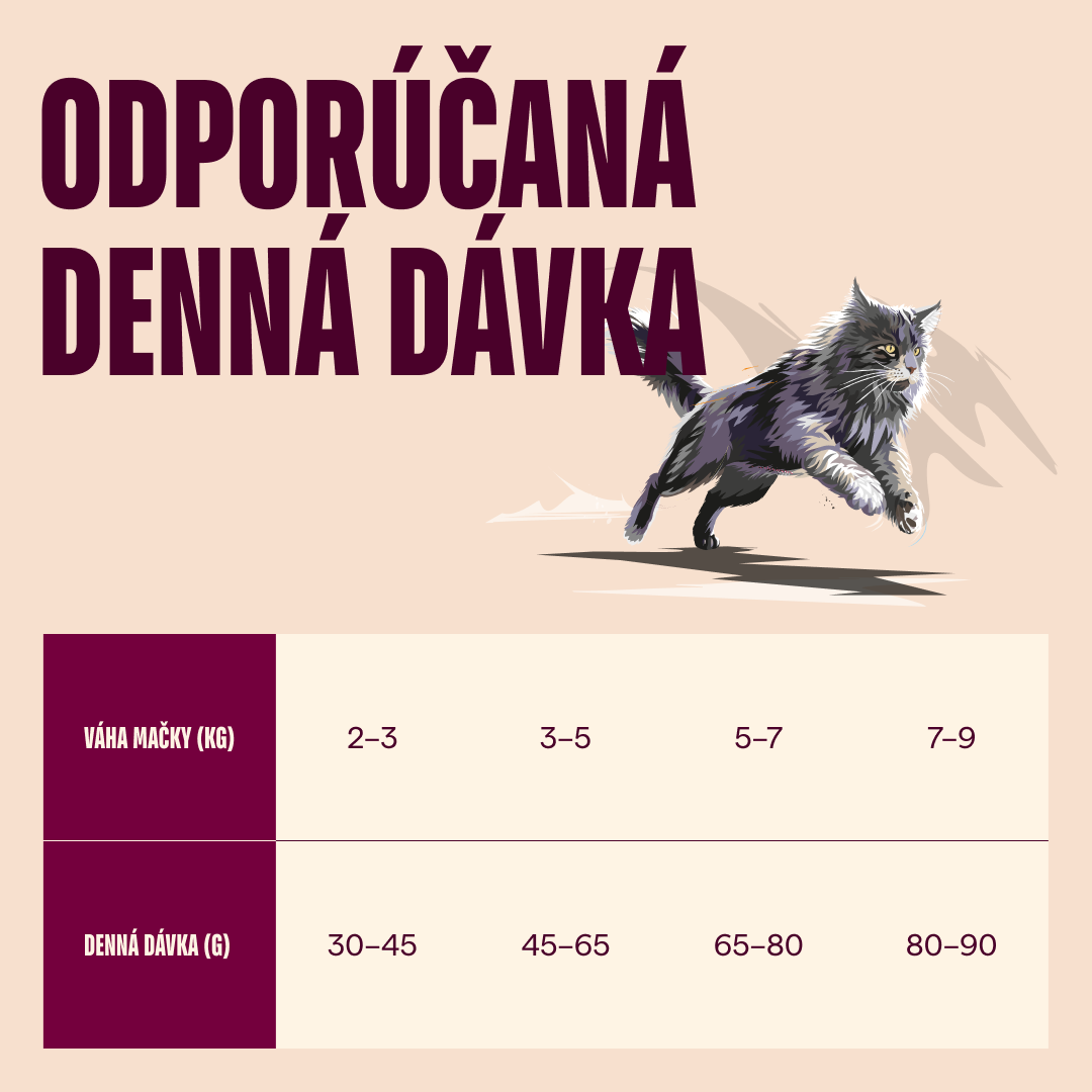 100173765 4 SK