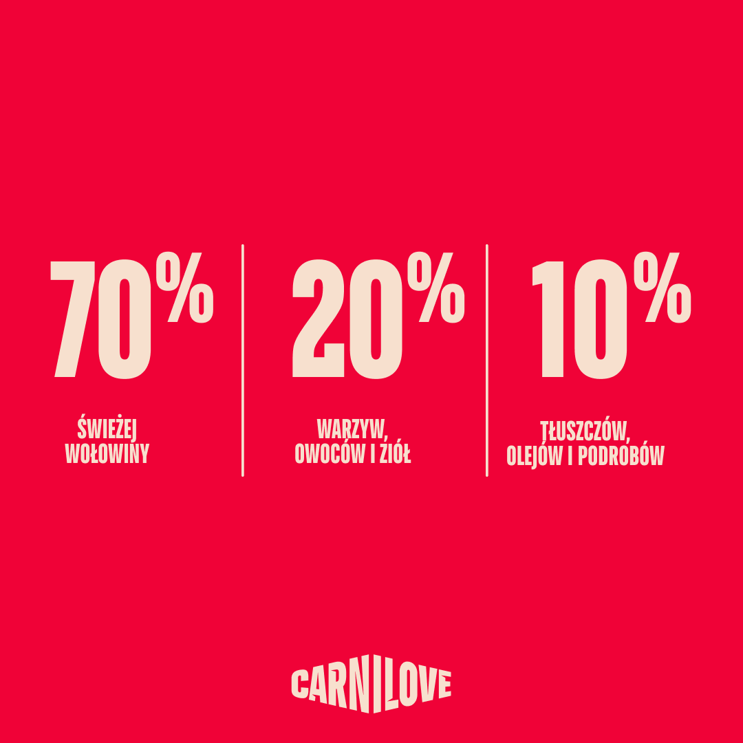 TRUE FRESH Beef Dry food for Adult Cats Large Breed, karma z wołowiną dla dorosłych kotów dużych ras