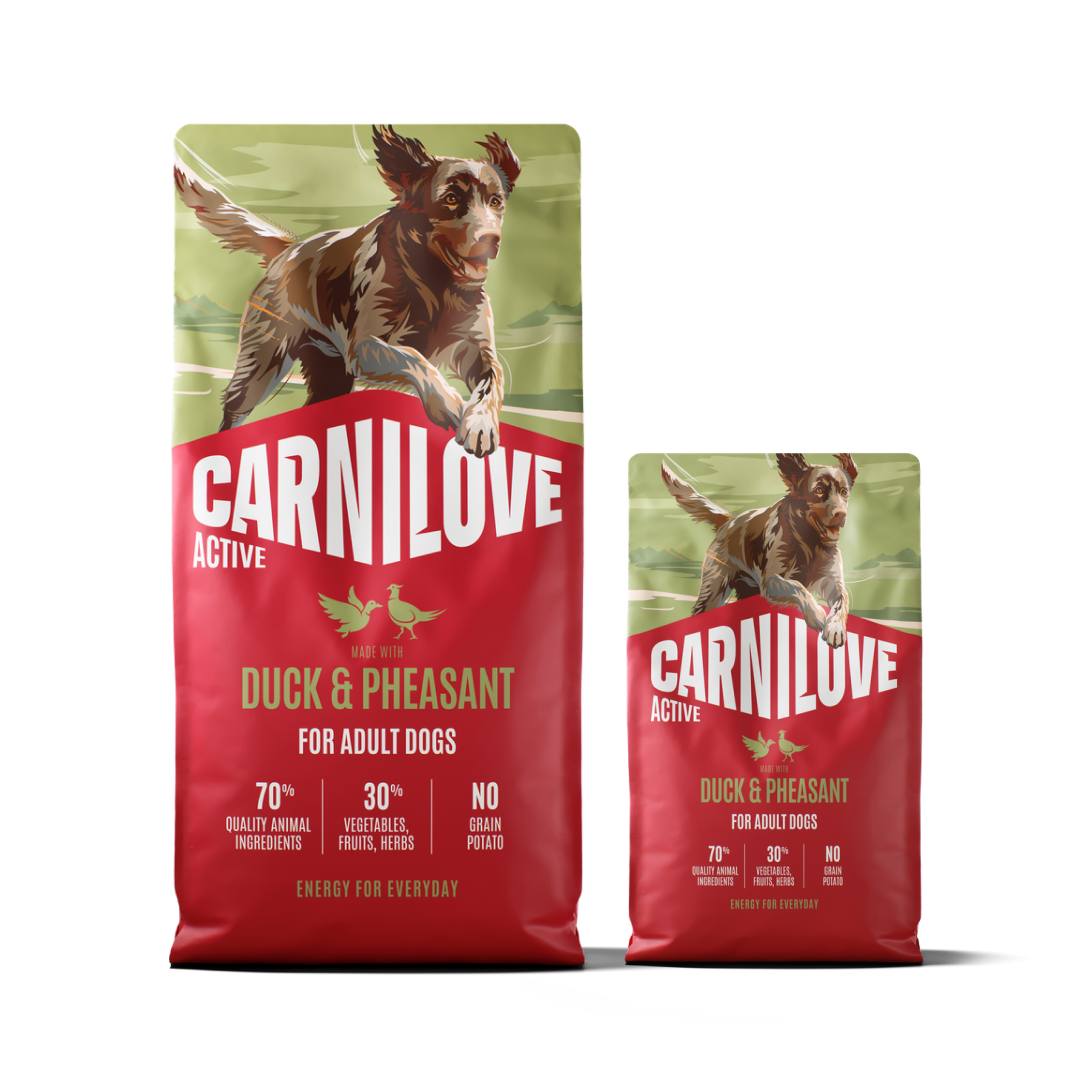Active Dry Duck & Pheasant XXL for adult dogs pack