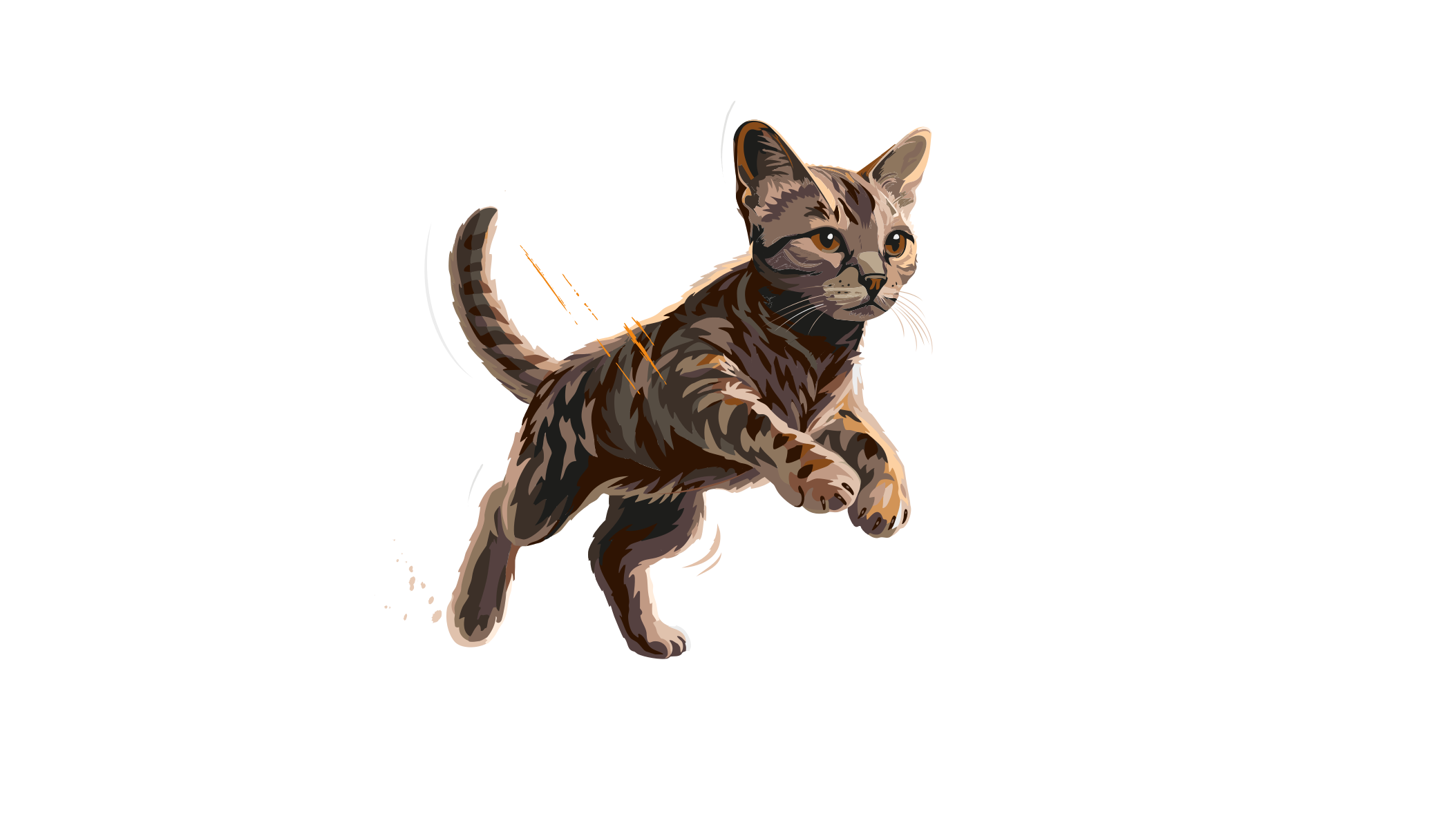 Carnilove-Illustration-Cat-Kitten-Active