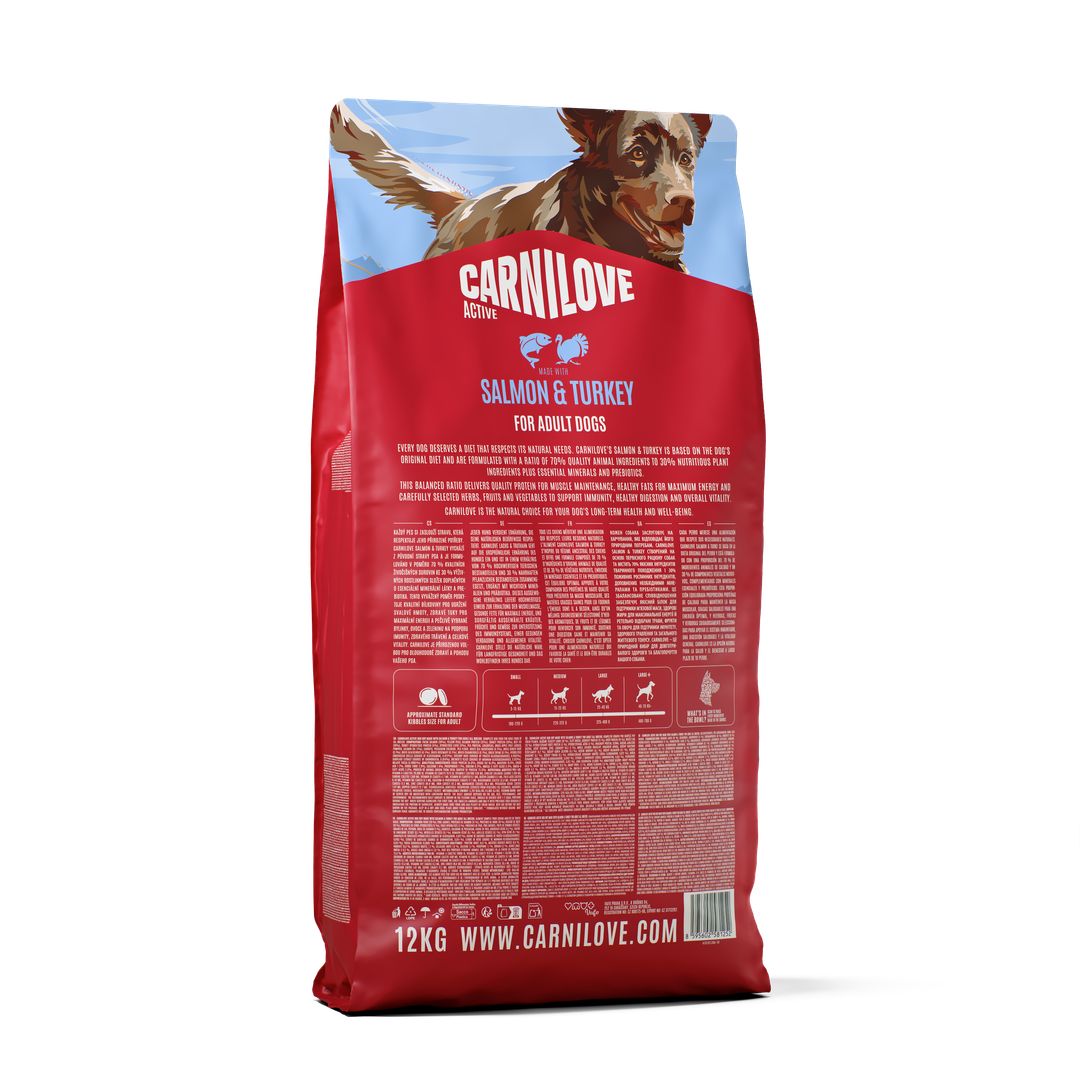 ACTIVE Dry Food Made with Salmon & Turkey for Adult Dogs