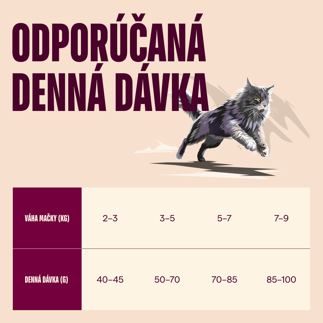 100173714 4 SK