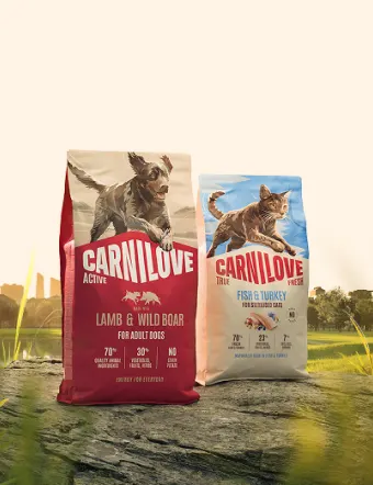 Carnilove dry dog food bags featuring different recipes, presented as complete nutrition inspired by natural ingredients.