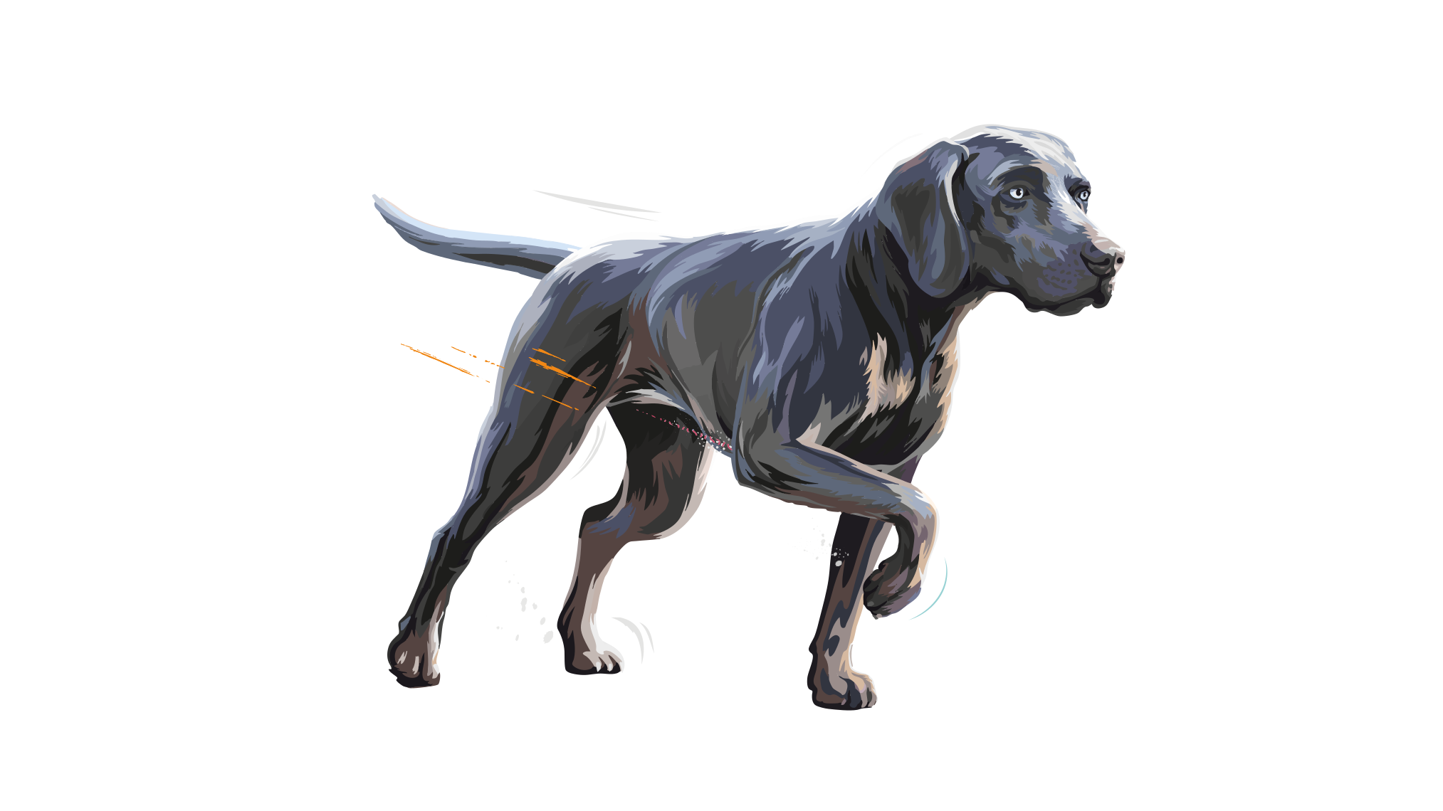 Carnilove-Illustration-Dog-Large-Breed-True-Fresh