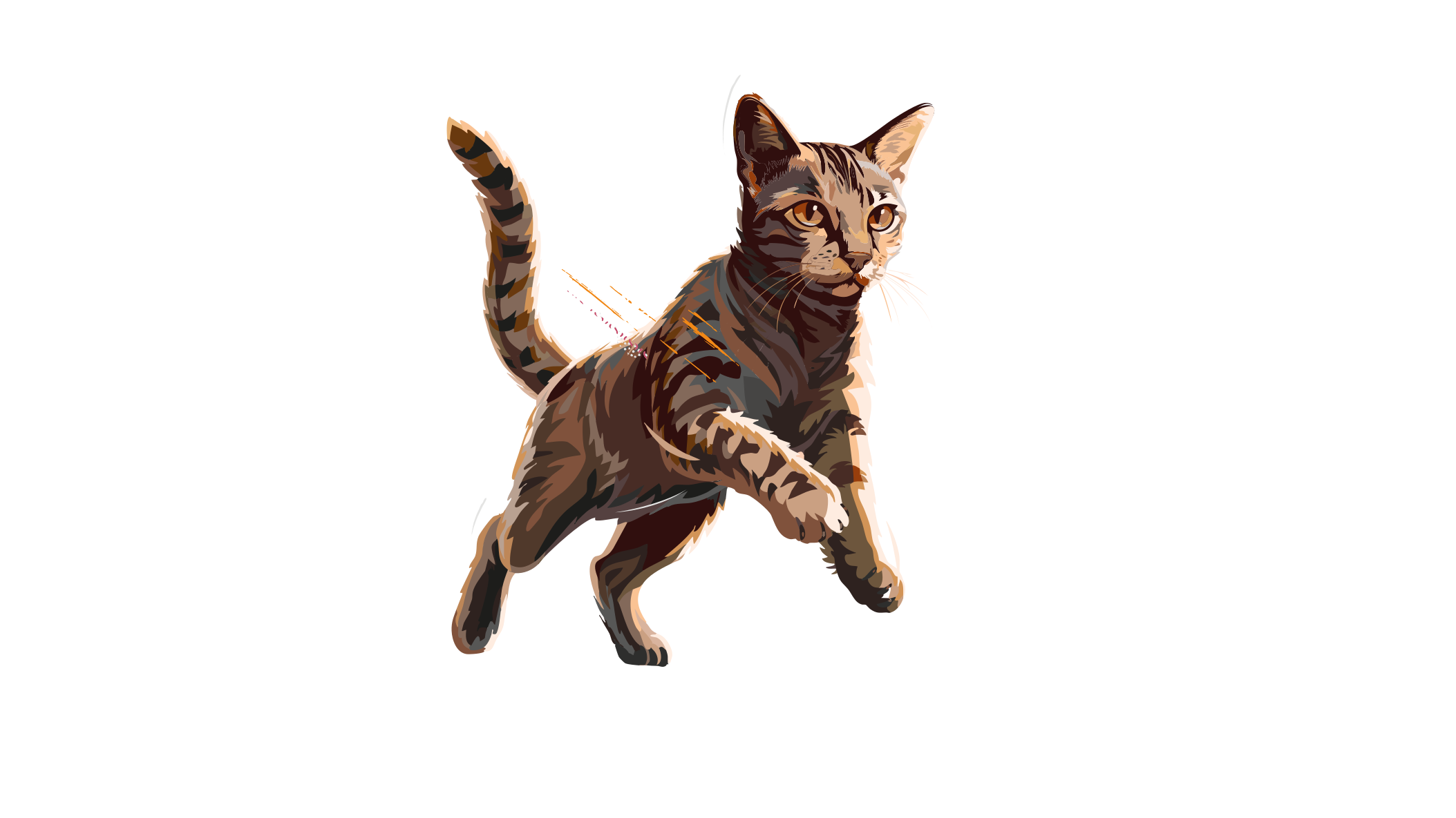 Carnilove-Illustration-Cat-Adult-Active