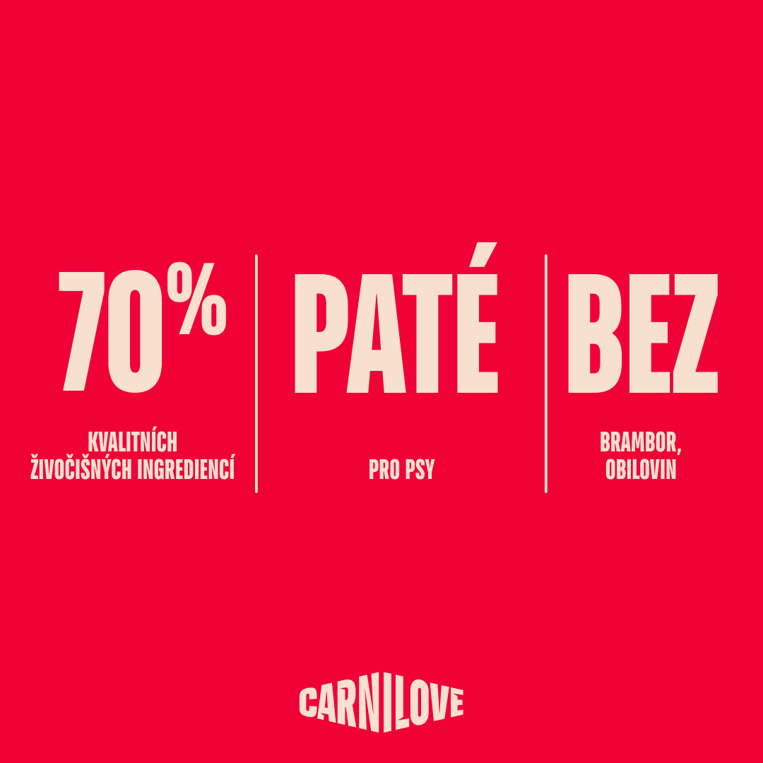 Multipack Dog POUCH Paté 4 x 300 g